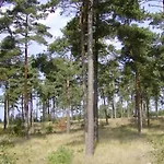 New Luxury Summerhouse Near Forest And Casa vacanze *